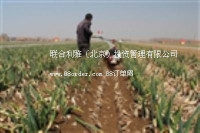 �Ϻ����������߲˲��N�C(j��)