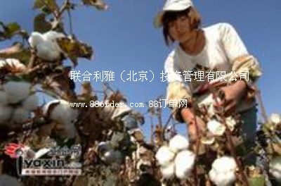 ���Ͳ��ޙC(j��)�r(ji��)�� �Ϡ����ޙC(j��)�r(ji��)�� �s���Ϡ����ޙC(j��)�r(ji��)��