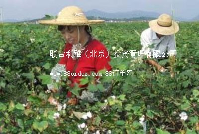 ��(gu��)�a(ch��n)���ޙC(j��)�r(ji��)�� �����ز��ޙC(j��)�r(ji��)�� �F�����ޙC(j��)�r(ji��)��