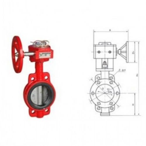 ����(y��ng)ZSFD��������̖(h��o)���y