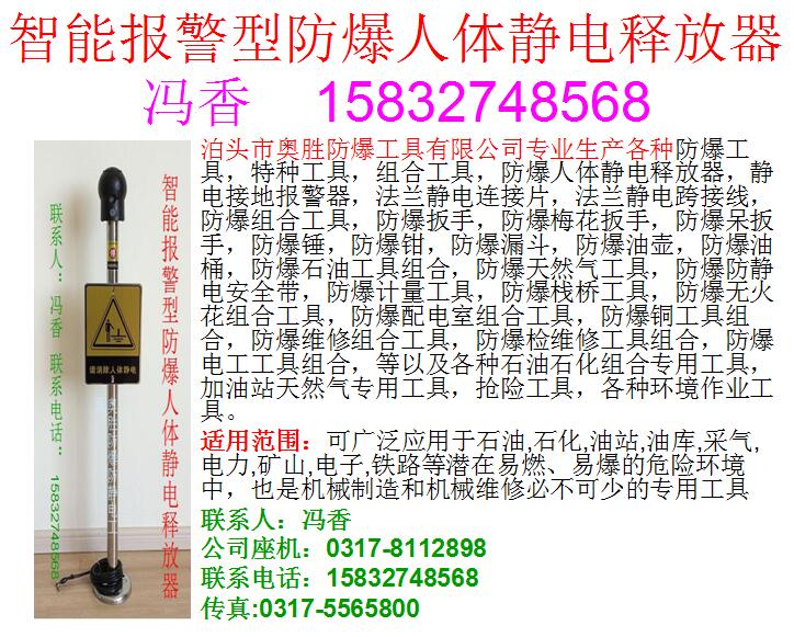 智能報警型防爆人體靜電釋放器 智能報警型防爆人體靜電釋放器