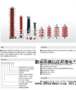 Y5WS-10/30���������\������