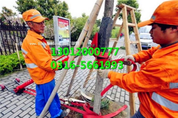 ���C���C����ľ�C���C