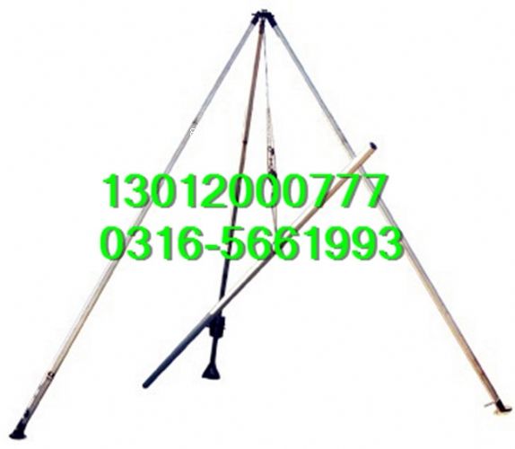 ���U�C���������U�C�S��