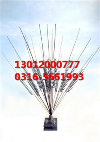 �(q��)�B���������(q��)�B��,