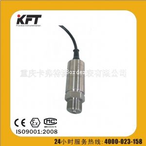 KSP��PG�����܉���׃����