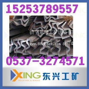 ɽ�|���l(f��)�N�۲ێ��