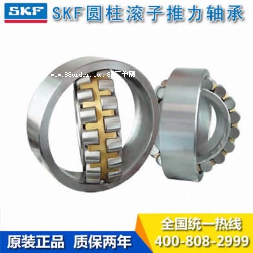 SKF�A���L�������S��