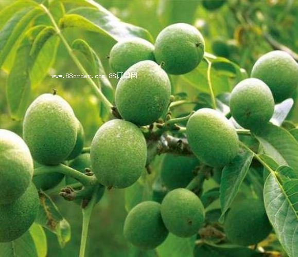 ���T�Ϻ��������r���ҡ���ʯ����֪����?