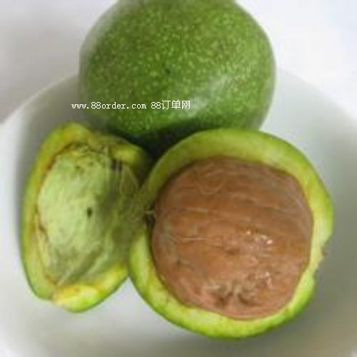 ���T�Ϻ���������Ƥ���ҡ�����ζ����