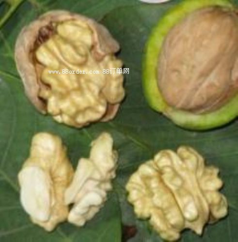 ���T�Ϻ��������r����׌�������pʮ�q