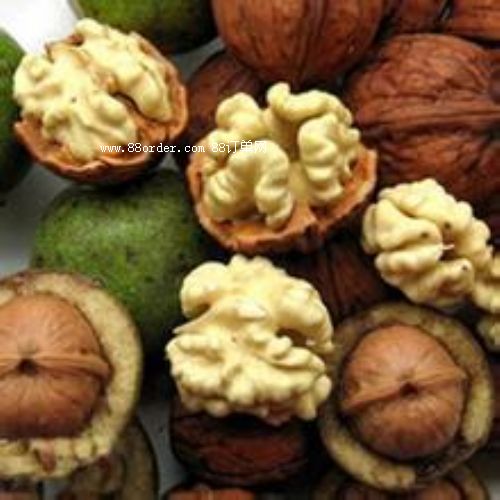 ���T�Ϻ��������r����ˎ�ÏV