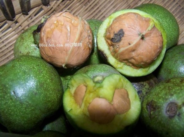 ���T�Ϻ������� ���r��������������ô���x|��Ƥ�������l(f��)