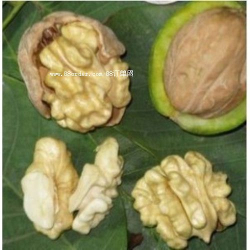 ���T�Ϻ�������ԭ��(l��i)��Ƥ���Ҿ�Ҳ��һζ��ˎ|��Ƥ�������l(f��)