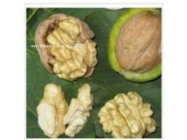 ���T�Ϻ��������r���ҽ��X���Ǽ�|��Ƥ�������l(f��)02