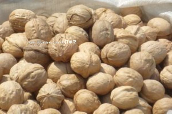 ���T�Ϻ��������r���ҵ��A��|��Ƥ�������l(f��)02