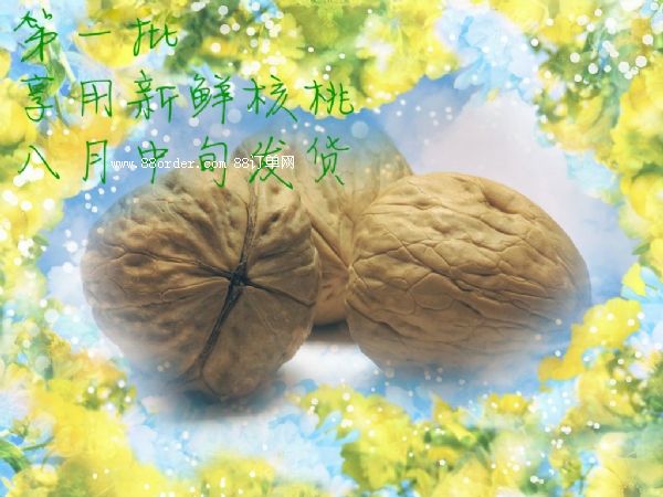 ���T�Ϻ��������r������ʳ�I�B(y��ng)��|�������l(f��)6