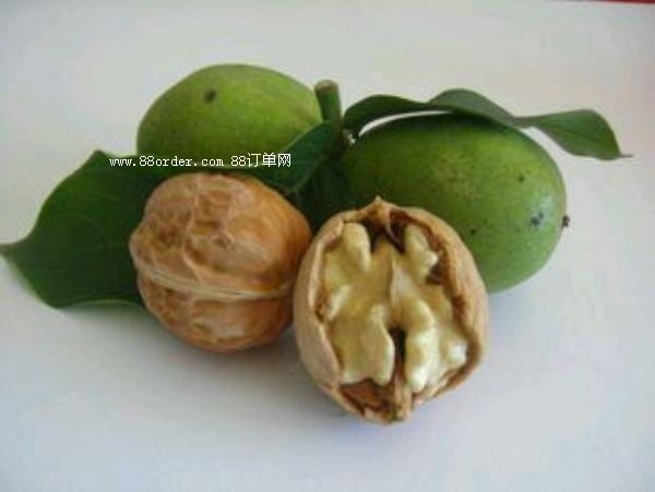 ���T�Ϻ��������r���ұ����I�B(y��ng)|�������l(f��)04