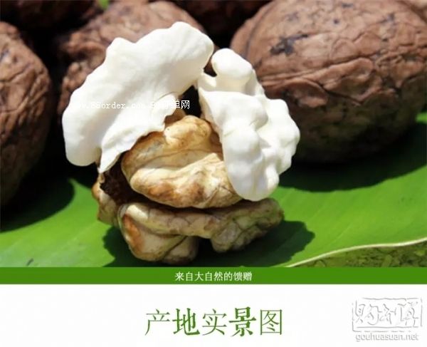 ���T�Ϻ��������r����PK�ɺ���|�������l(f��)08