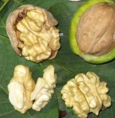 ���T�Ϻ�������������ʲô�r����ֲ����m|�������A(y��)��