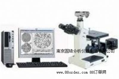 ���F����M�������x�����T�F����M�������x