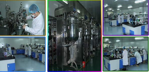 ��� 13647599471