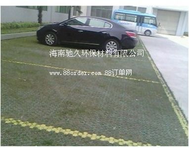 ����ֲ�ݸ�