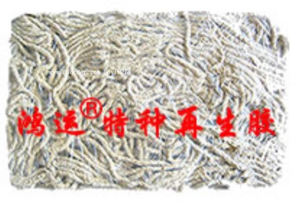 ���z�����z���c