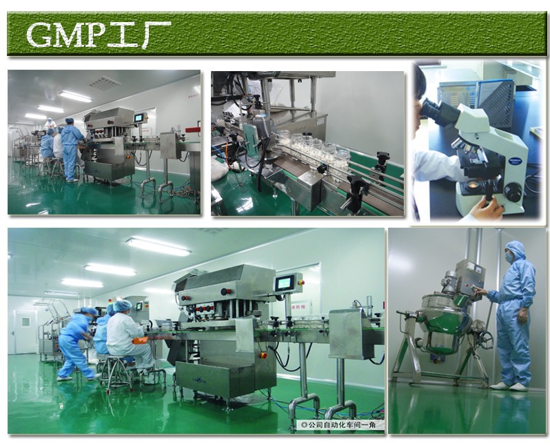 gmp生產(chǎn)車間1