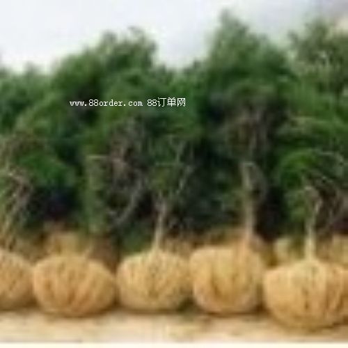 ����(y��ng)�I�B(y��ng)��1.5�����ɡ�����������1-7������