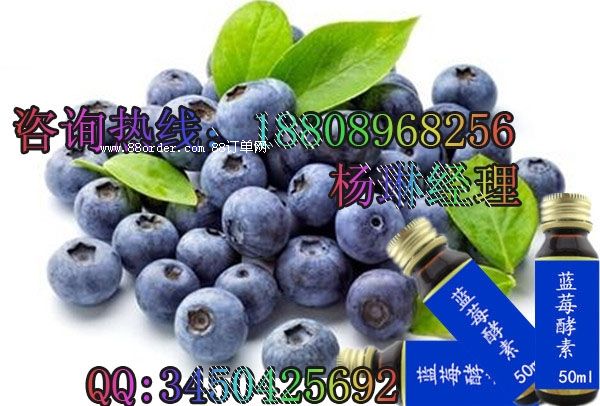 �{ݮ��ζ�����Ʒ|���ӹ����b|�S��-�Ϻ��а�˹��