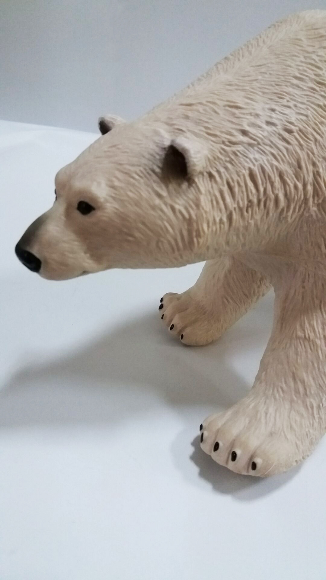 ���O�ܡ����������z