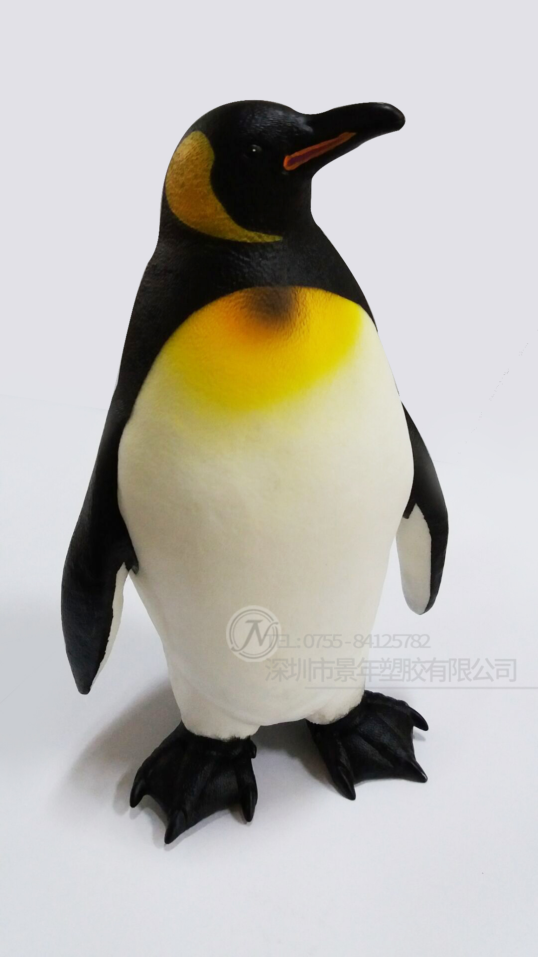 ����վ�����Z-�������z