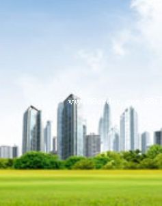 ɽ�|���ʯĥ���޹�˾