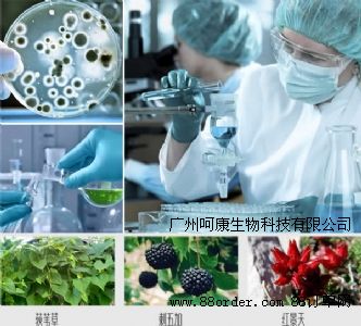 �ǿ�ݶȔ��ƽ��˪������ꎵ��ɳڌ��ã�