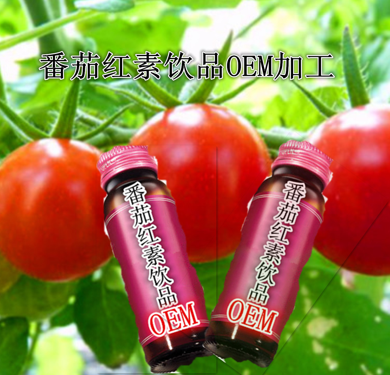 004ms8jdzy6lxgurq5h21&690_����