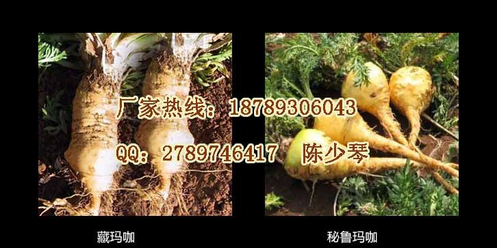 qq�؈D20141027102622