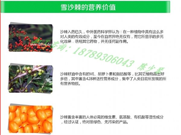 ɳ�����Ʒ���a(ch��n)�S�����ݮ�OEM����ݮӹ�