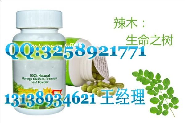 ��ľ�~��Ƭ�ǹ����ӹ�|�����۴��ӹ�