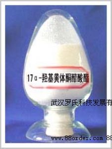 17��-�u���S�wͪ������