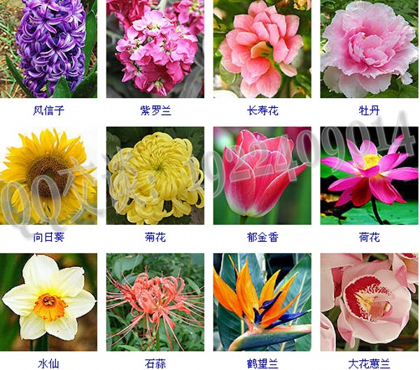 ��ͯ�o�wƷoem