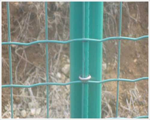 ���m�o(h��)�ھW(w��ng)