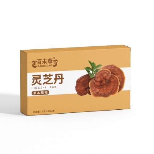 �`֥��֧�ֶ���