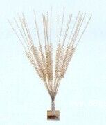 �(q��)�B��