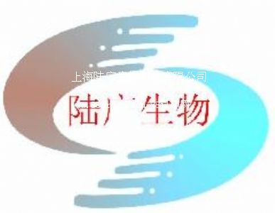 �Ϻ�ꑏV����Ƽ����޹�˾