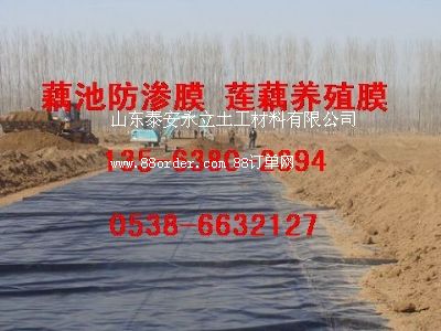 ź�ط��BĤ�r(ji��)��-ź�ط��BĤ�S��-ź�ط��BĤ���l(f��)