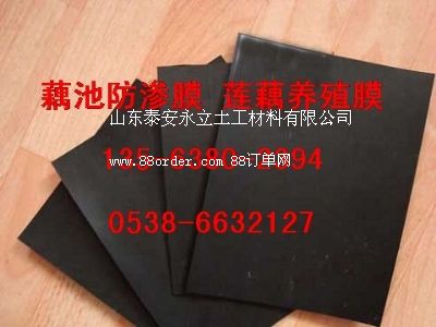 ź�ط��BĤ�S�ҵ̓r����ź�ط�ˮ���z��&ˮ�a(ch��n)�B(y��ng)ֳĤ�r��