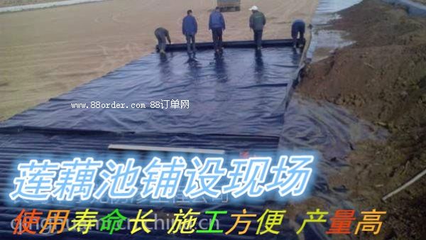 �����N��ɏź�Nֲ��Ĥ ����ź�،���Ĥ