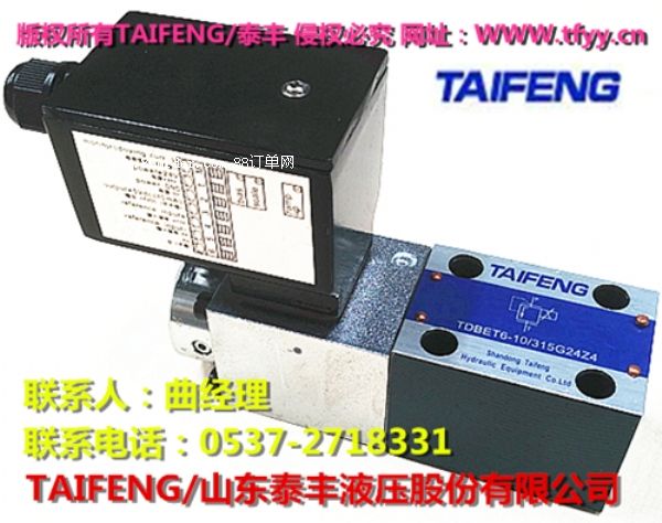 TAIFENG/̩�S TDBET6-10-315G24Z4