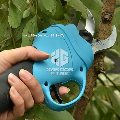 ��֦��֦��